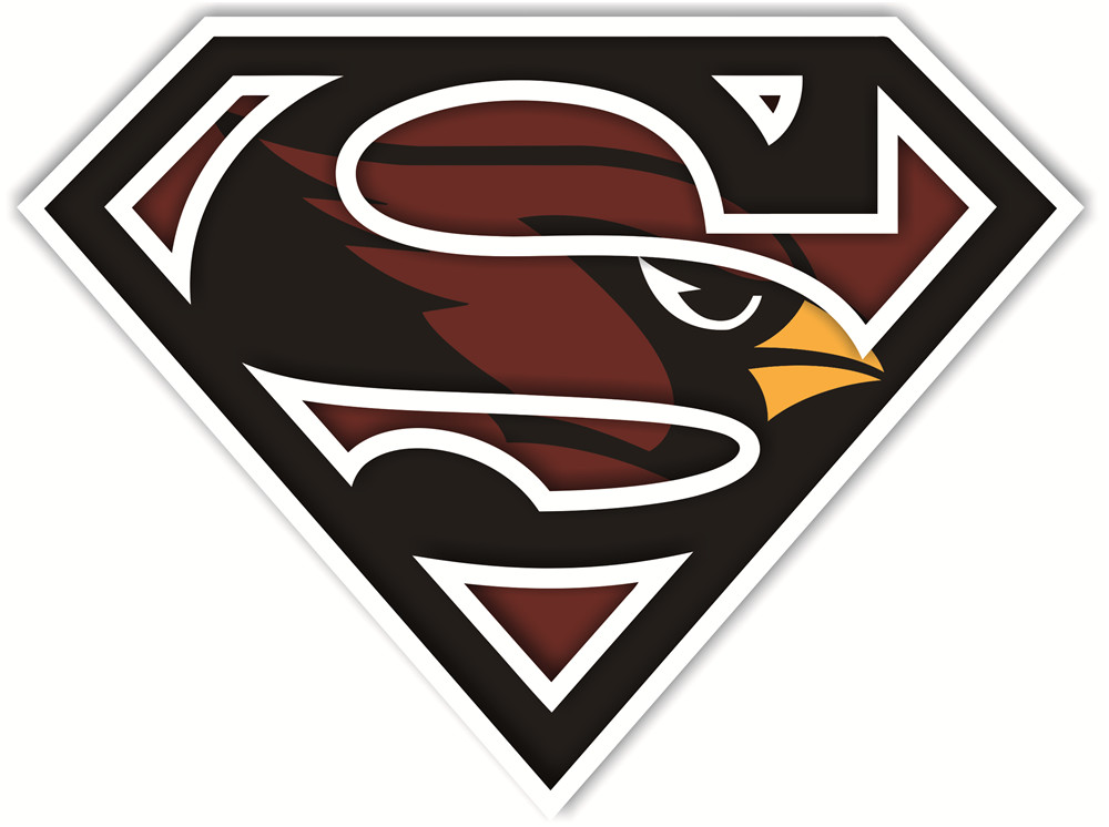 Arizona Cardinals superman logos fabric transfer